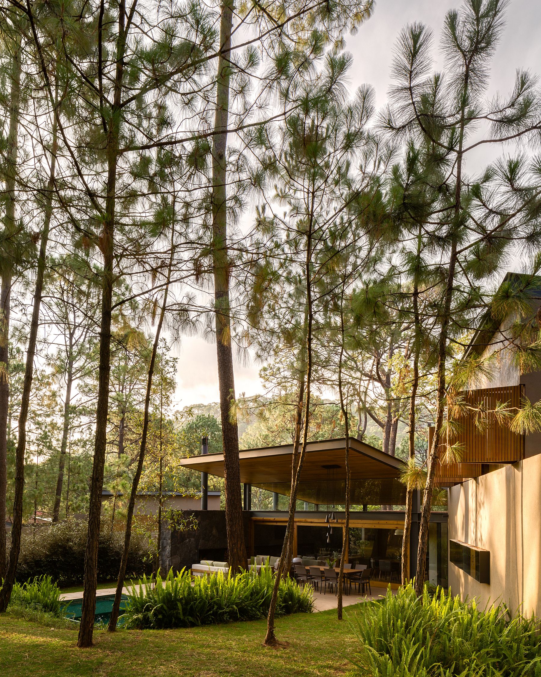 Tall trees and forest landscape surround the Five Houses in Mexico