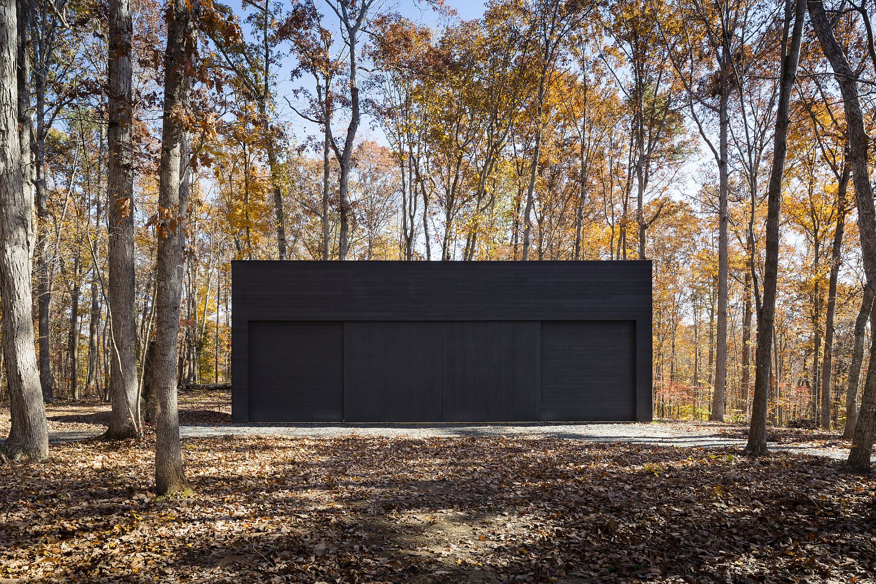 Black extreior of the house lets it disappear into the forest at night