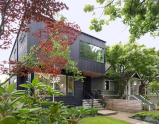 Pink House: Stained Cedar Exterior Conceals a Clean Modern Interior