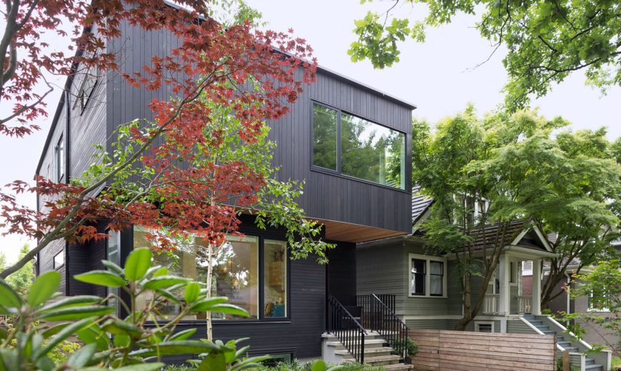 Pink House: Stained Cedar Exterior Conceals a Clean Modern Interior