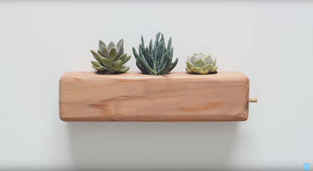 DIY succulent planter from HomeMade Modern