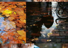 Fall-mood-board-from-Elements-217x155