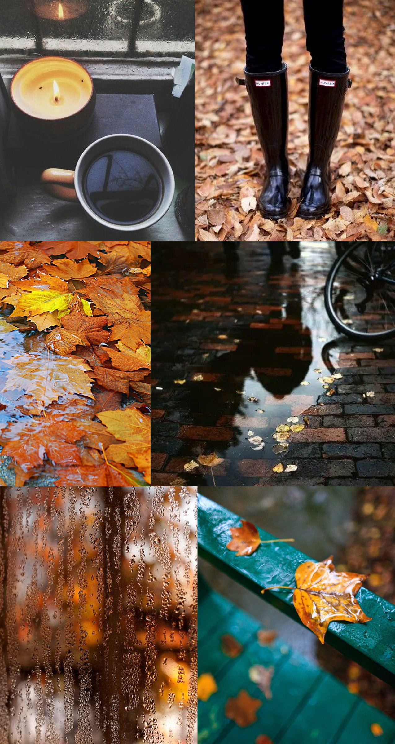 Rainy day fall mood board from Elements