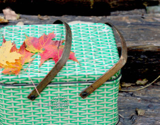 An Unforgettable Outing: Fall Picnic Essentials