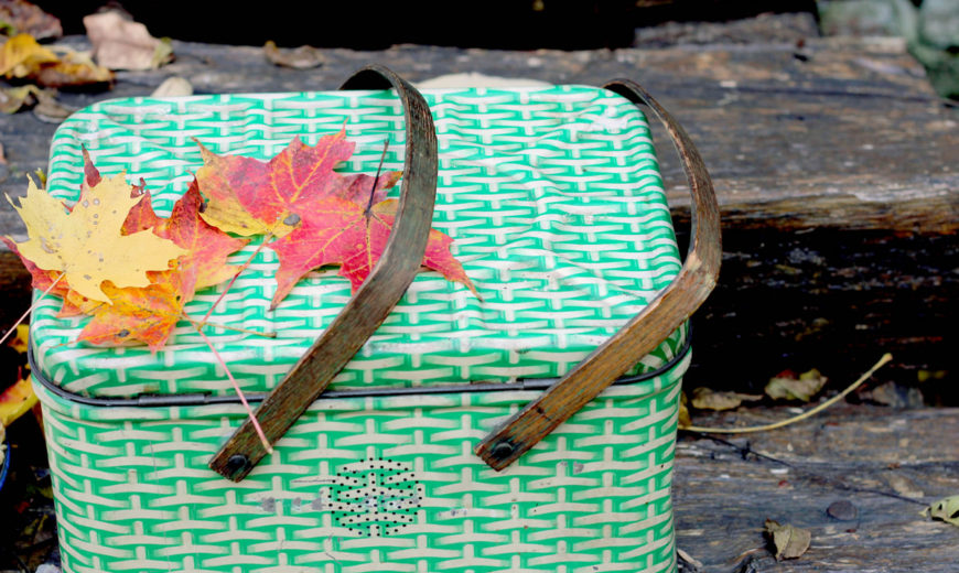 An Unforgettable Outing: Fall Picnic Essentials
