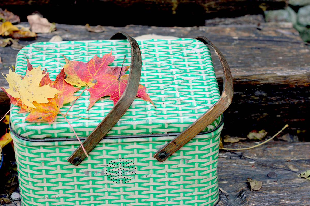 Fall picnic style from Log Cabin Cooking