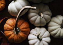 Pumpkin-photo-from-For-the-Love-of-the-South-217x155