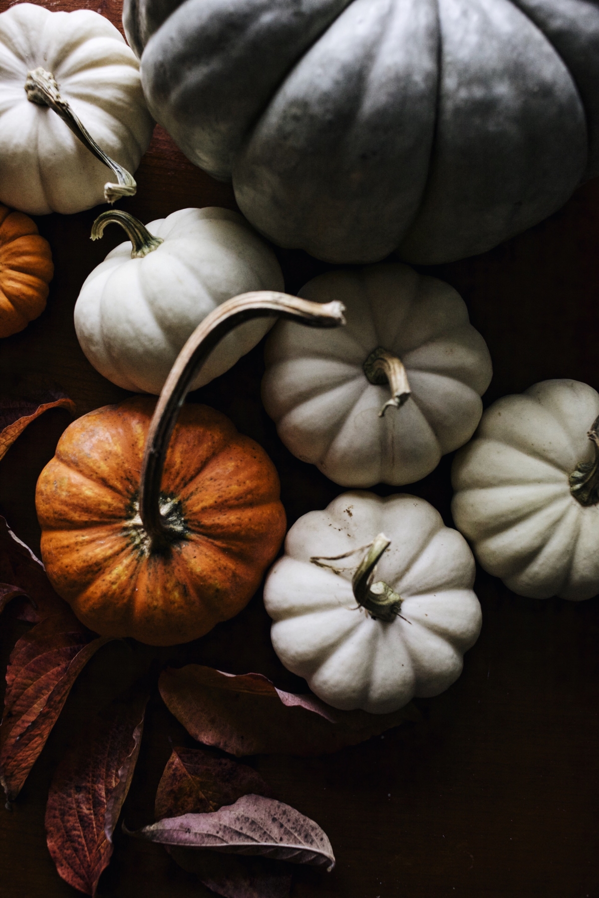 Pumpkin photo from For the Love of the South