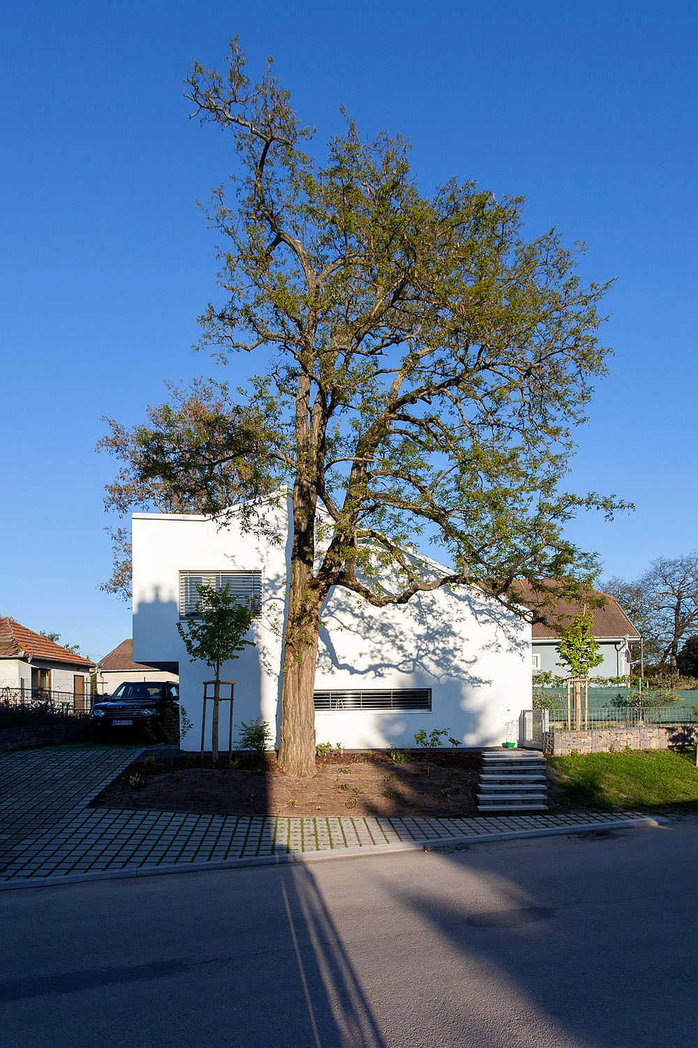 Smart design of the modern house preserves existing greenery on the lot