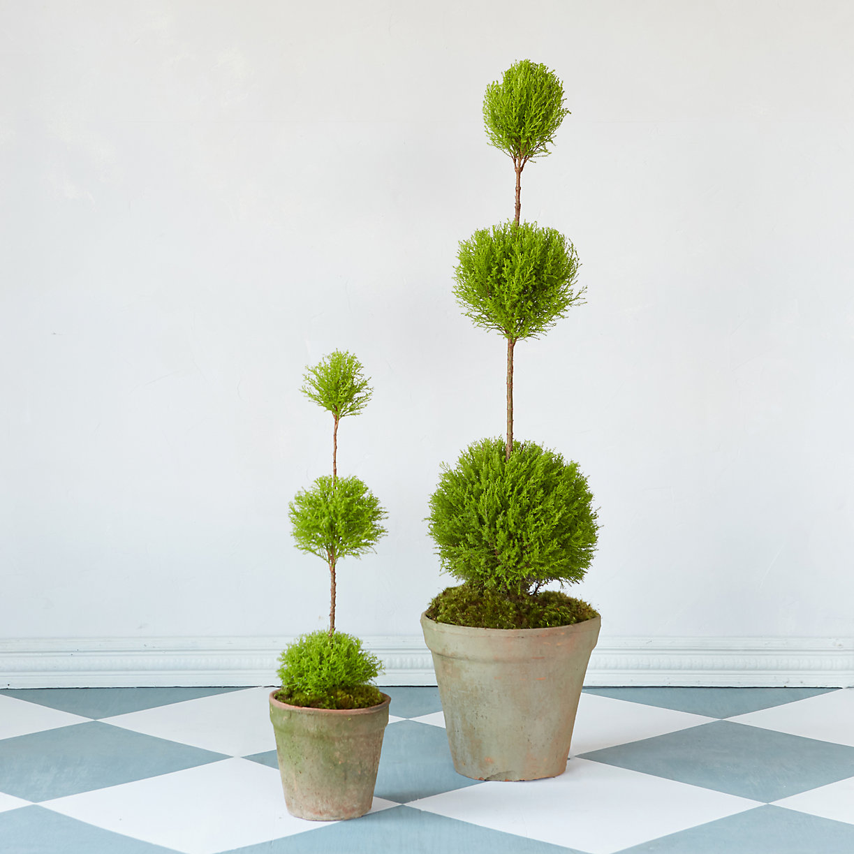 Topiaries from Terrain