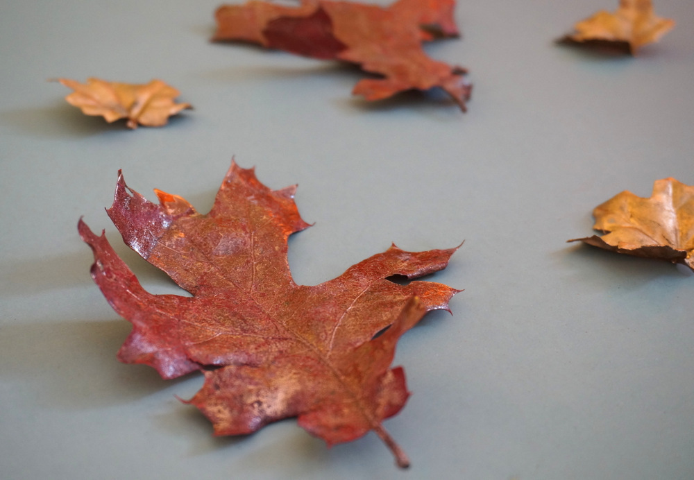 Copper fall leaves