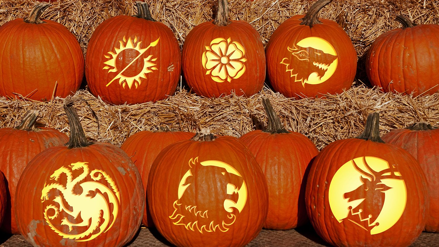 Game of Thrones pumpkin carving ideas [From: Winter is Coming] 