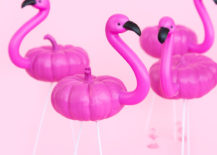Mini-flamingo-pumpkins-by-Aww-Sam-217x155
