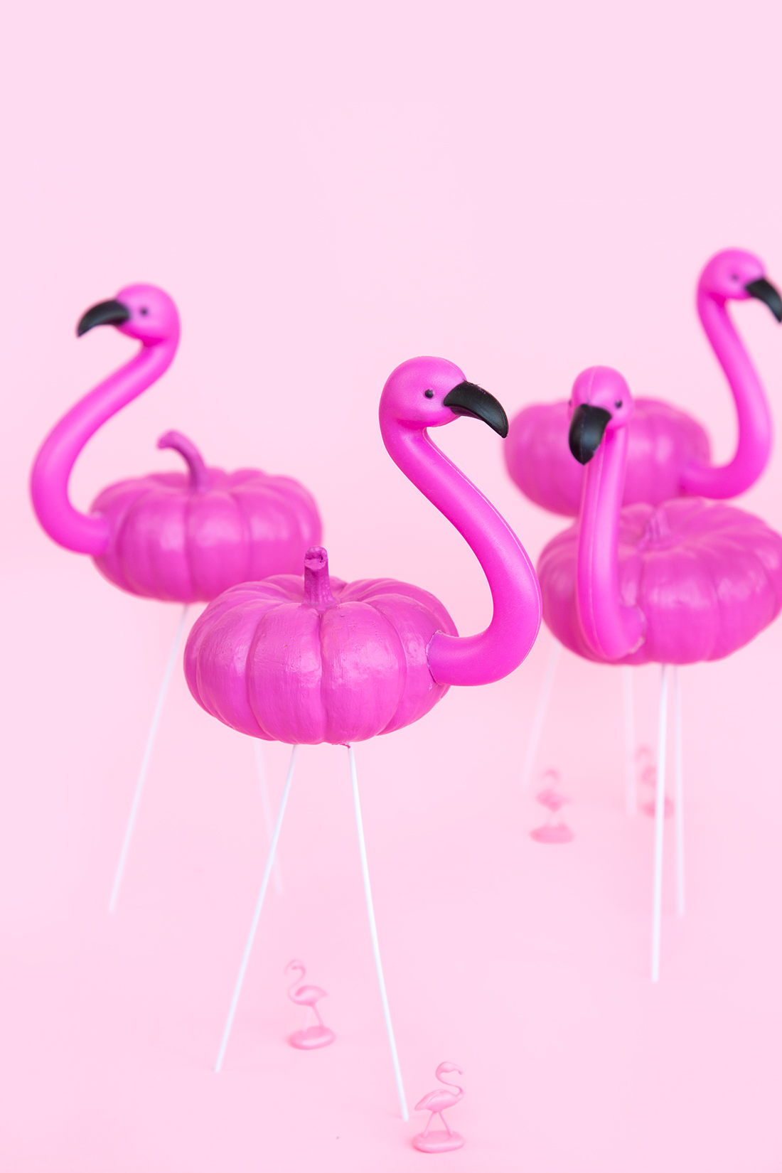 Mini flamingo pumpkins by Aww Sam