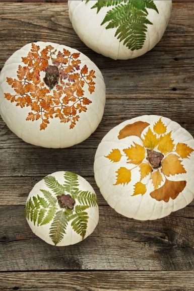 25 Pumpkin Painting Ideas – Halloween Painted Pumpkin Designs