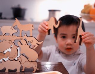 Wood is Good: 8 'Unfashionable' Wooden Toys