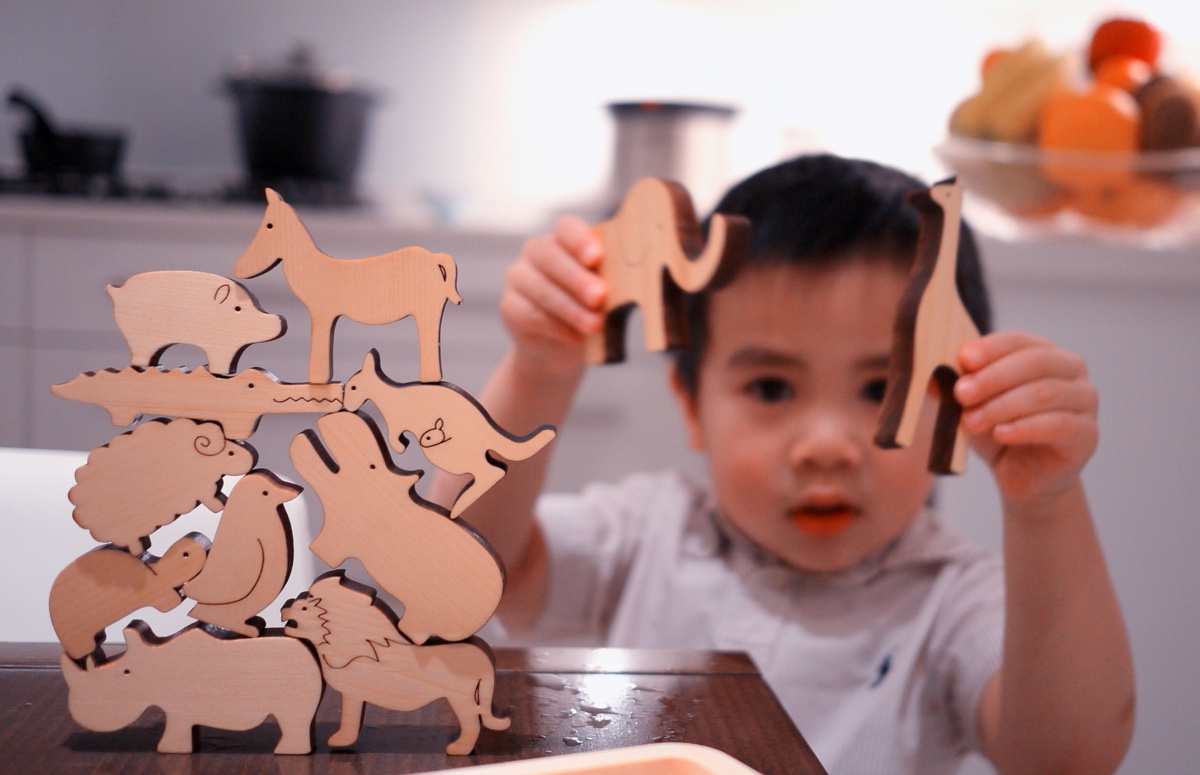 Noe wooden animal toys. Image via ePloof.