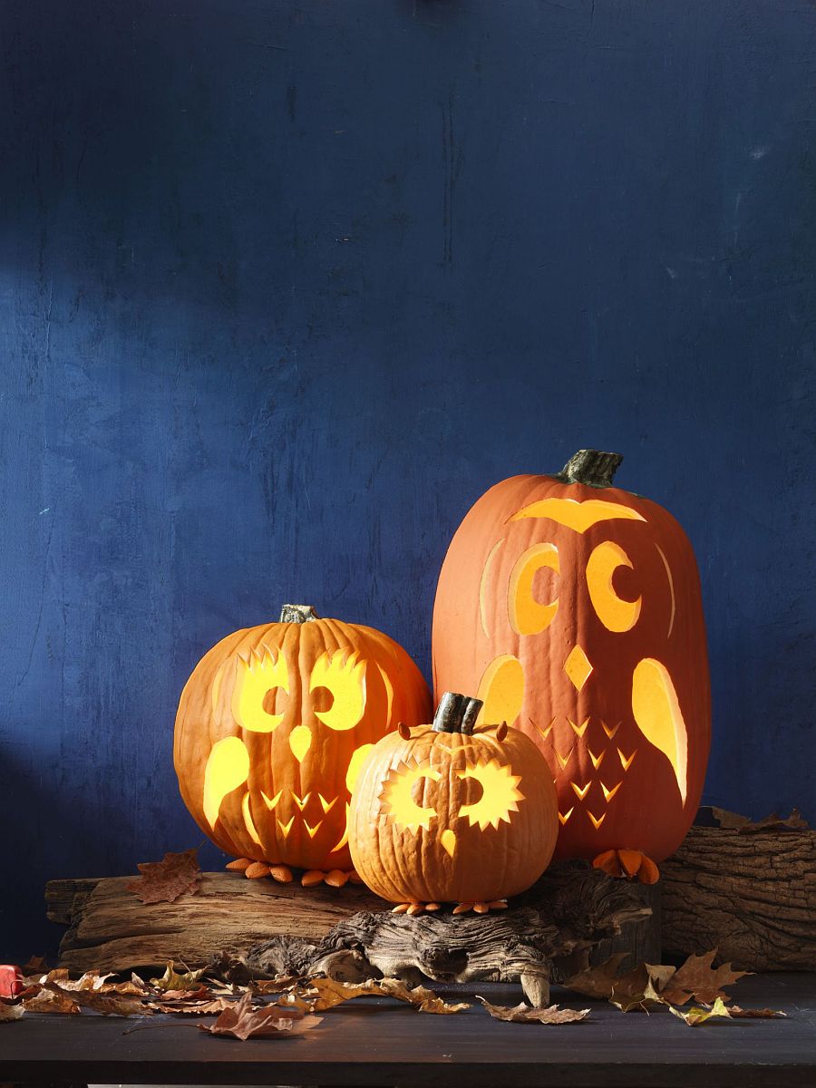Pumpkin owls with lovely lighting