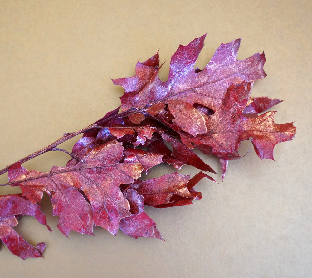 Red leaves