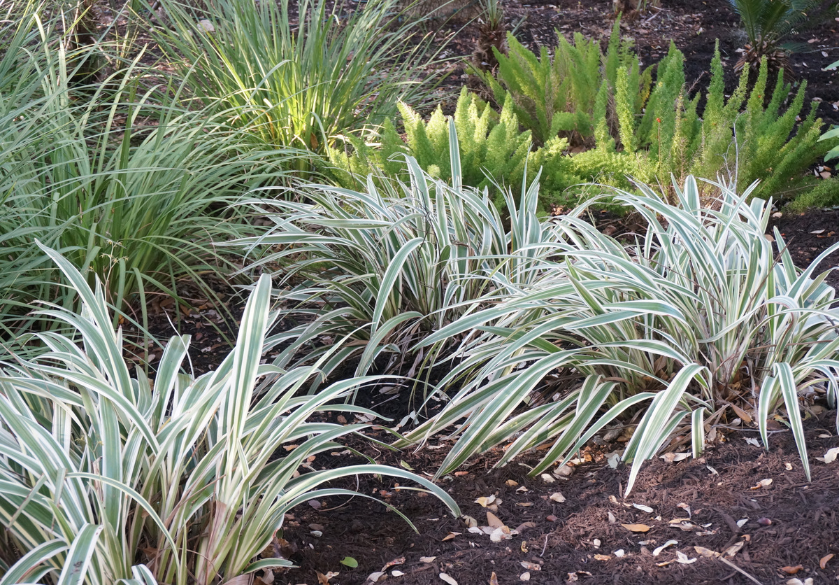 Blowing leaves can help keep flowerbeds tidy