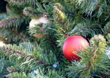 Christmas-tree-ornaments-217x155