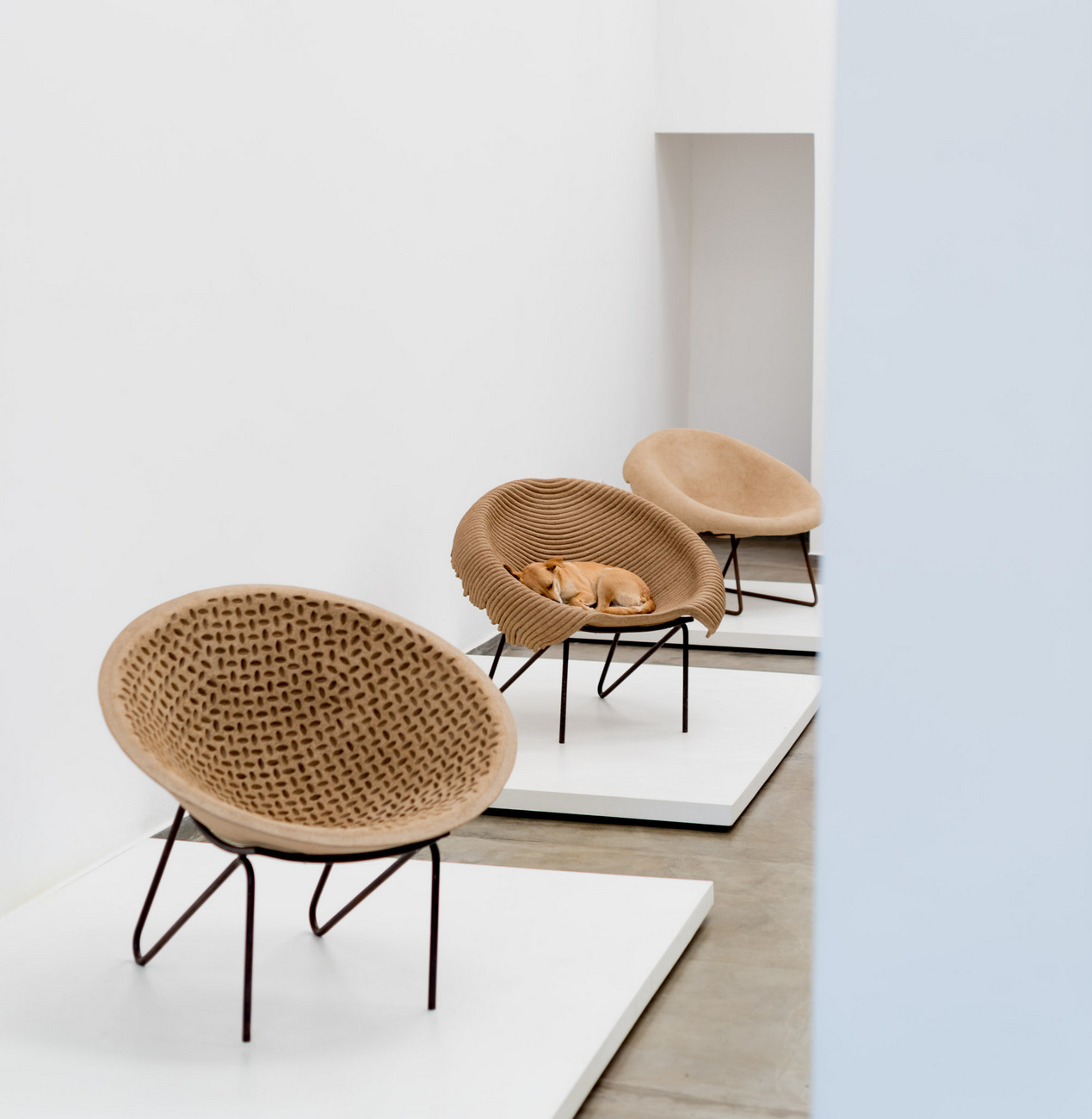 Modern chairs by Domingos Totora