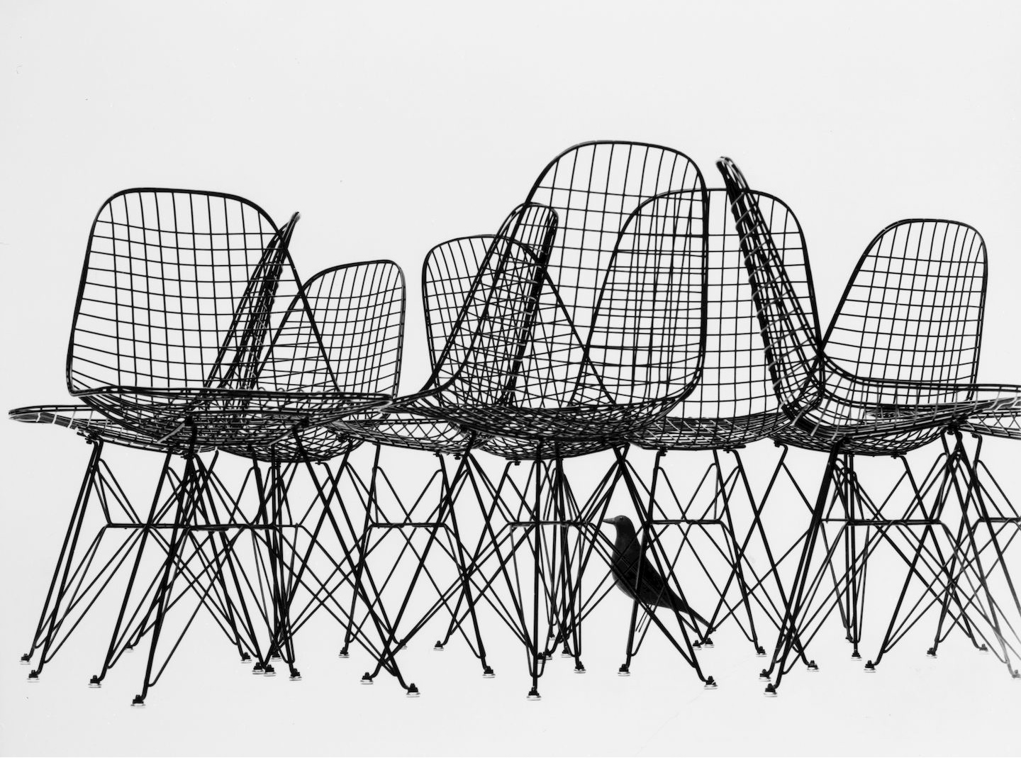 This famous image by Charles Eames shows the bird's silhouette set against a geometric grid of Eames Wire Chairs. Image © 2005 Eames Office, LLC via Vitra.