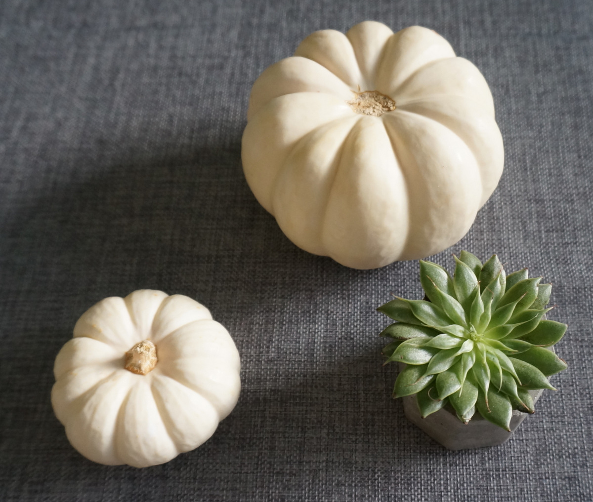 Gather natural elements for your fall centerpiece
