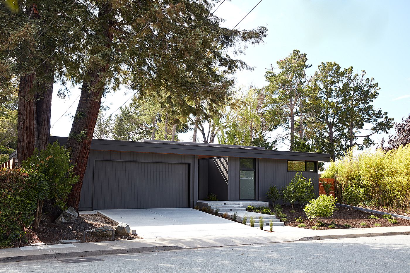 Glass Wall House by Klopf Architecture in San Mateo