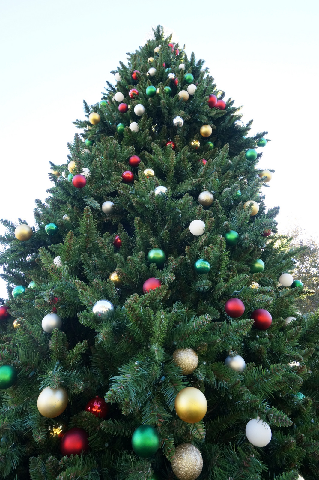 Outdoor holiday tree