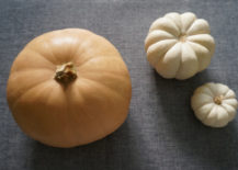 Peach and white pumpkins 217x155 A Bountiful Centerpiece for Your Thanksgiving Table