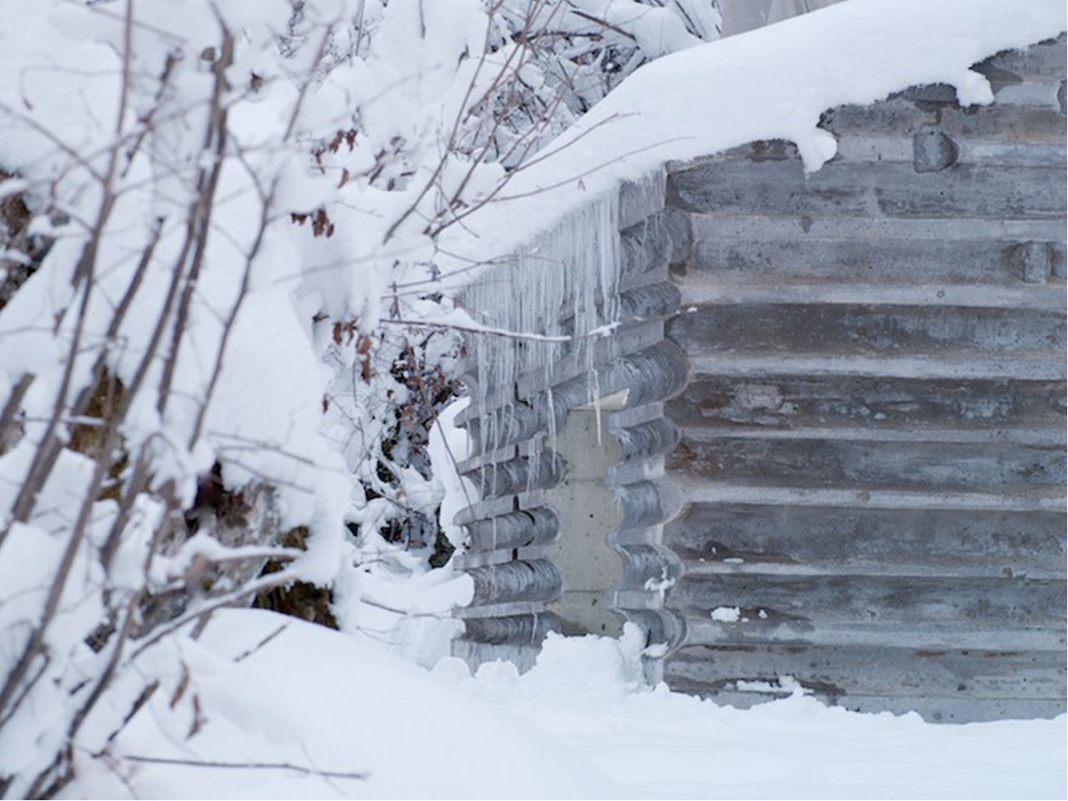 Refugi Lieptgas. Image © Gaudenz Danuser via ArchDaily.