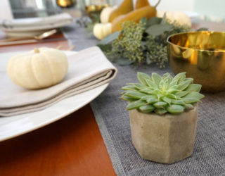 A Bountiful Centerpiece for Your Thanksgiving Table