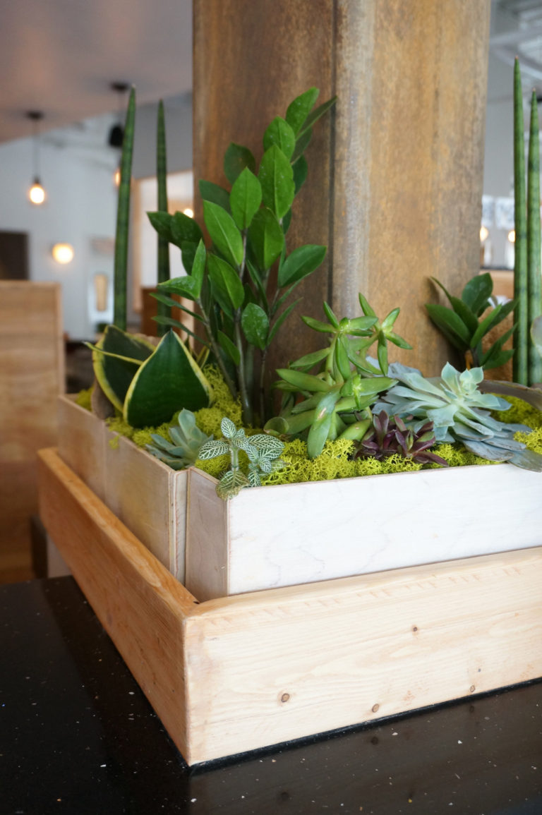Citizen Eatery Celebrates Plant-Based Dining and Modern Design | Decoist