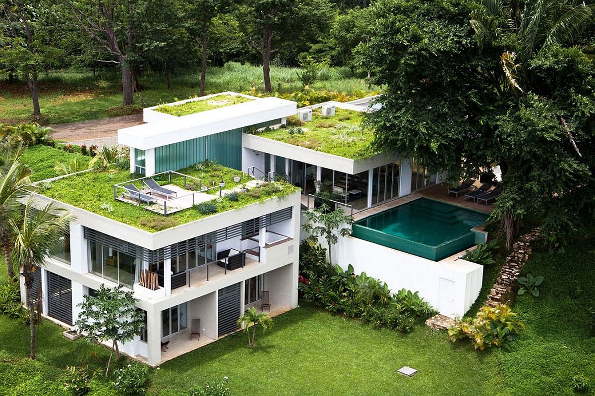 green roof house