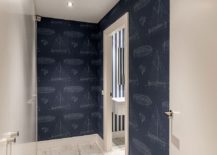 Contemporary-bathroom-in-white-and-blue-with-nautical-style-217x155