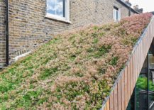 Green-roof-of-the-new-extension-of-the-London-home-helps-regulate-the-temperature-inside-217x155