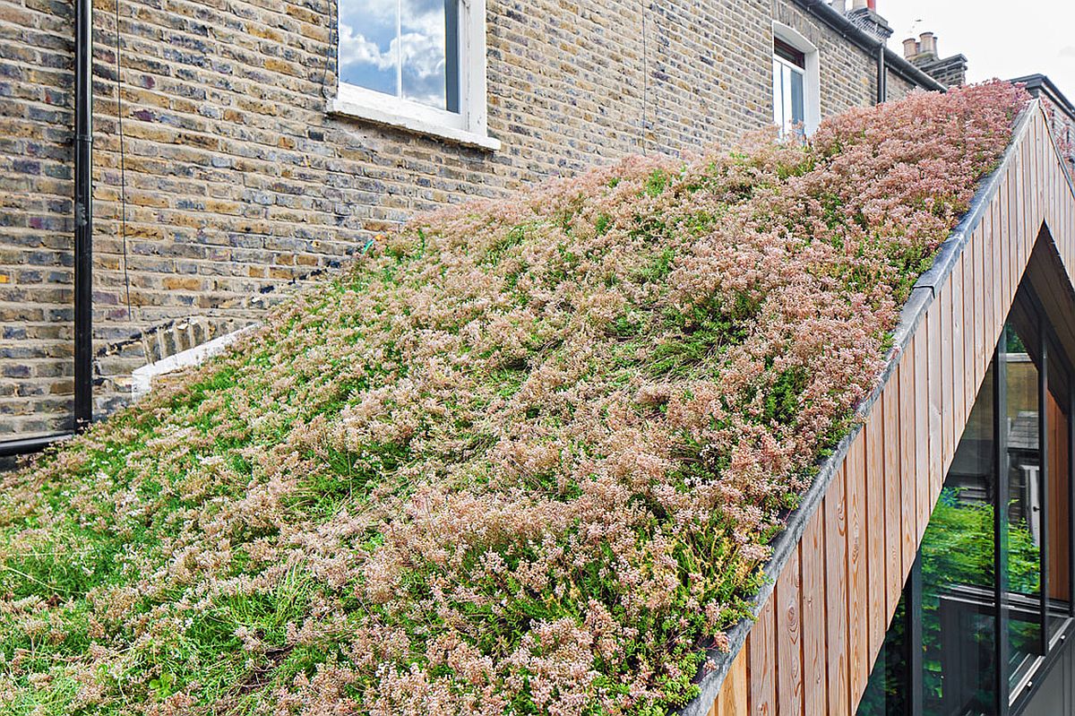 Green roof of the new extension of the London home helps regulate the temperature inside