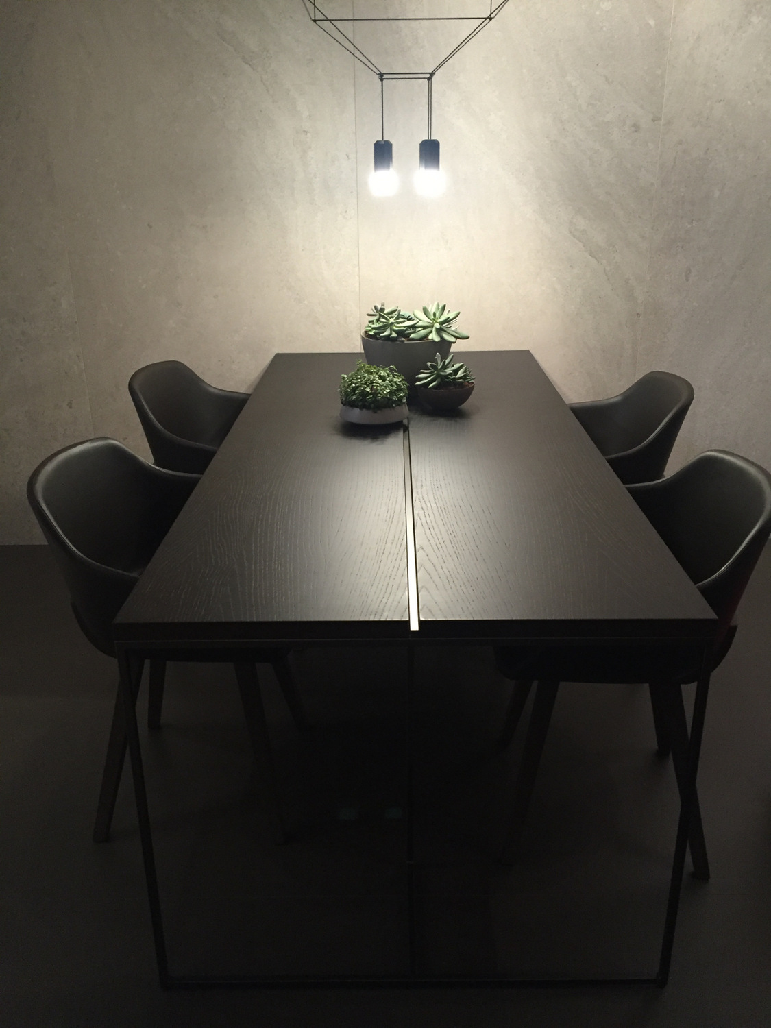 Green succulents in a clean-lined dining room