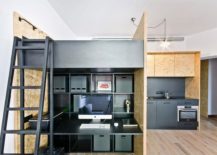 Loft-bed-workstation-kitchen-and-kids-hideout-rolled-into-one-217x155