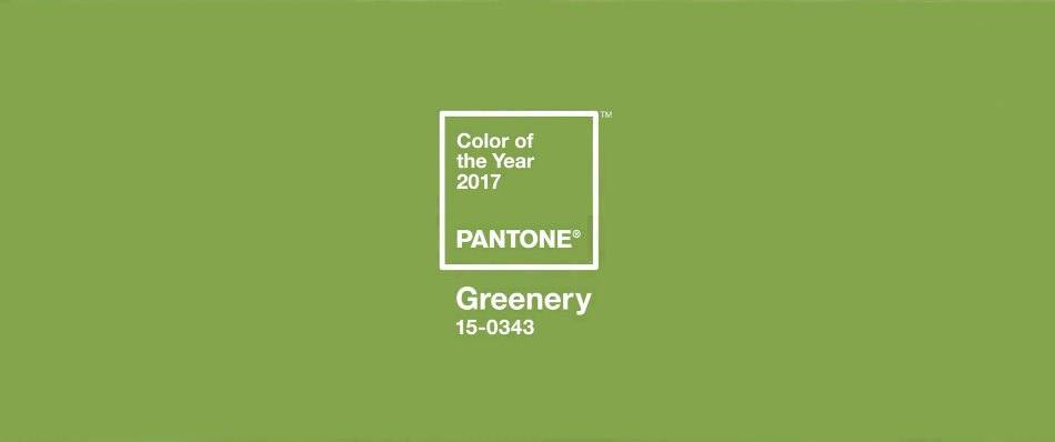 Pantone's Color of the Year 2017
