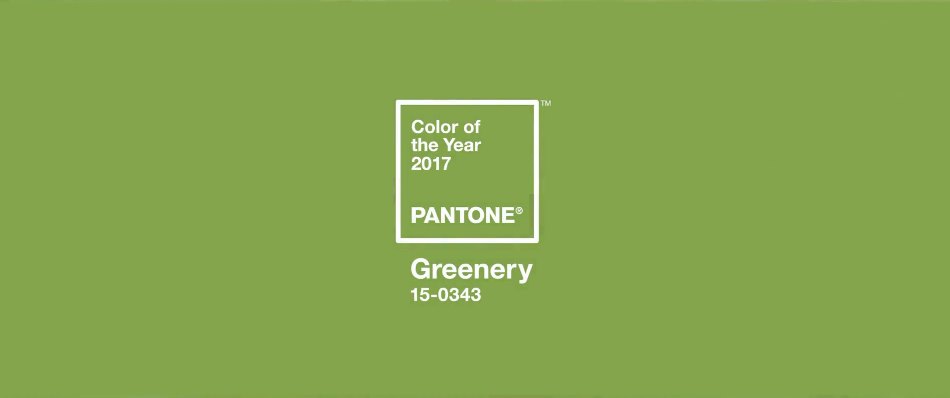 PANTONE's Color of the Year 2017