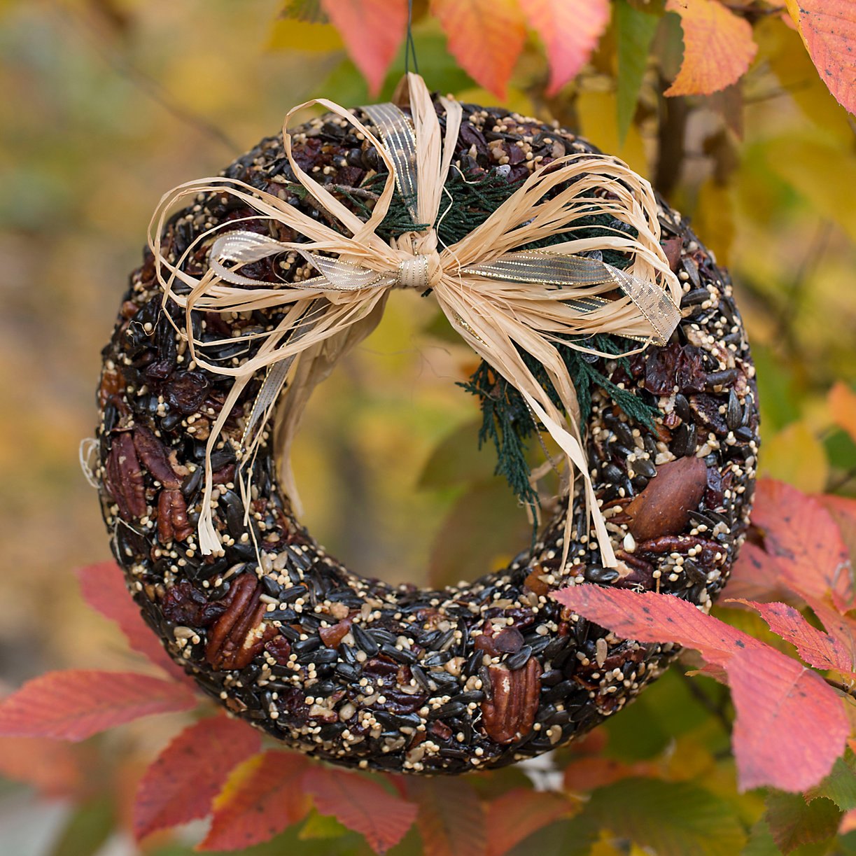 Pecan and seed wreath from Terrain