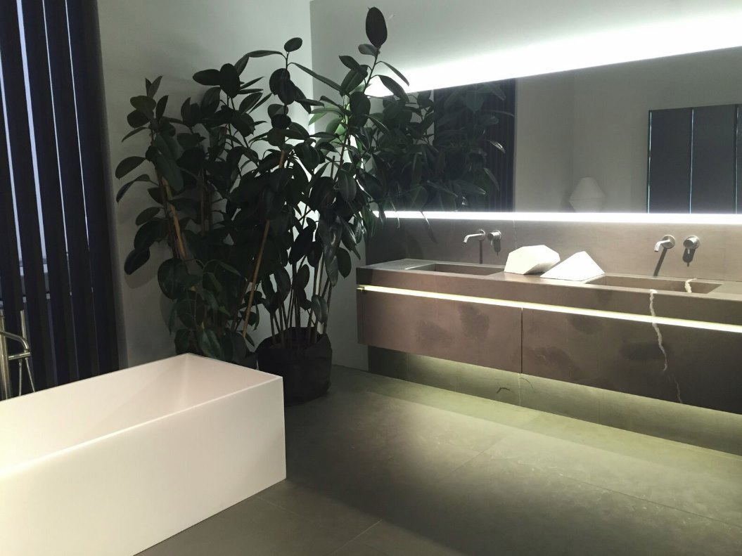 Potted plants in a neutral bathroom