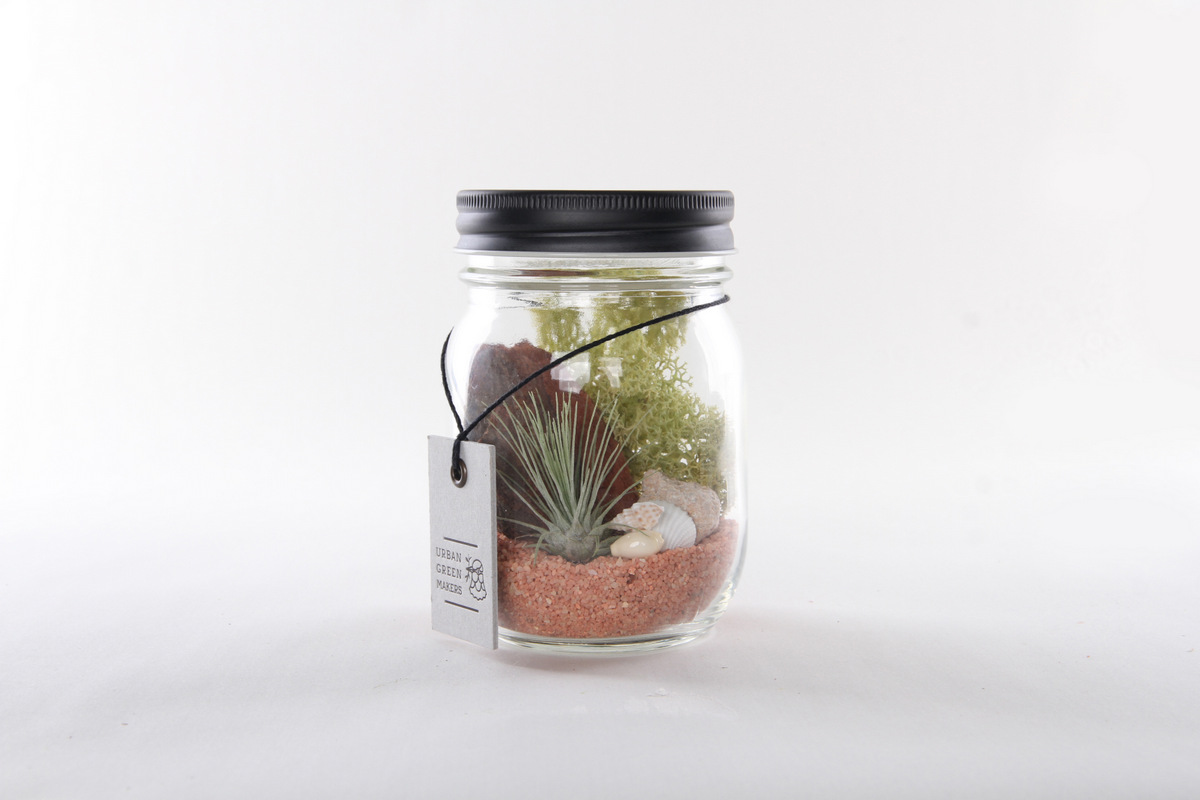 Terrarium from Urban Green Makers