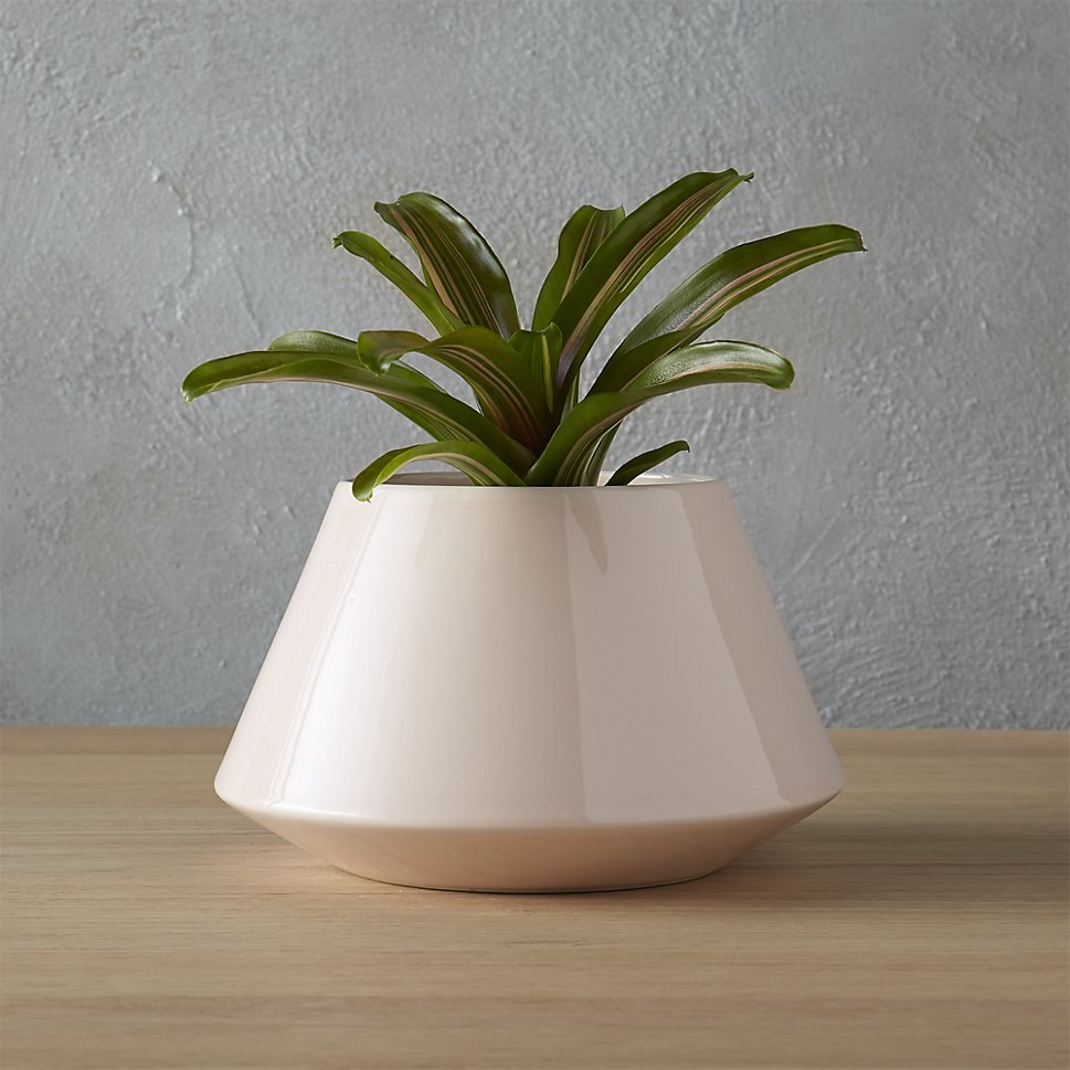 Blush planter from CB2