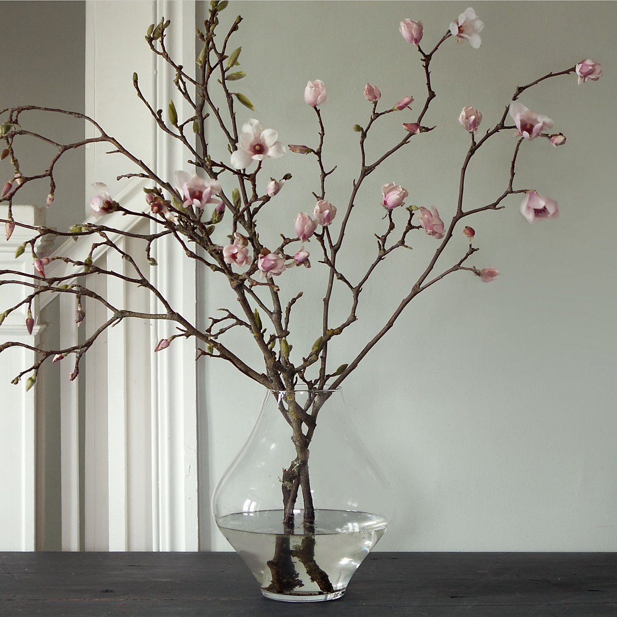 Flowering branches are festive and elegant