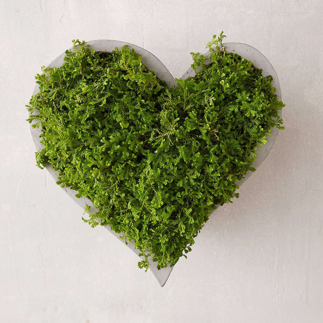 Heart-shaped planter from Terrain