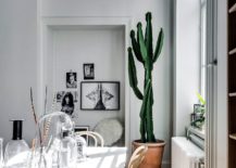 Indoor-plant-in-the-corner-adds-color-to-the-Scandinavian-dining-space-217x155