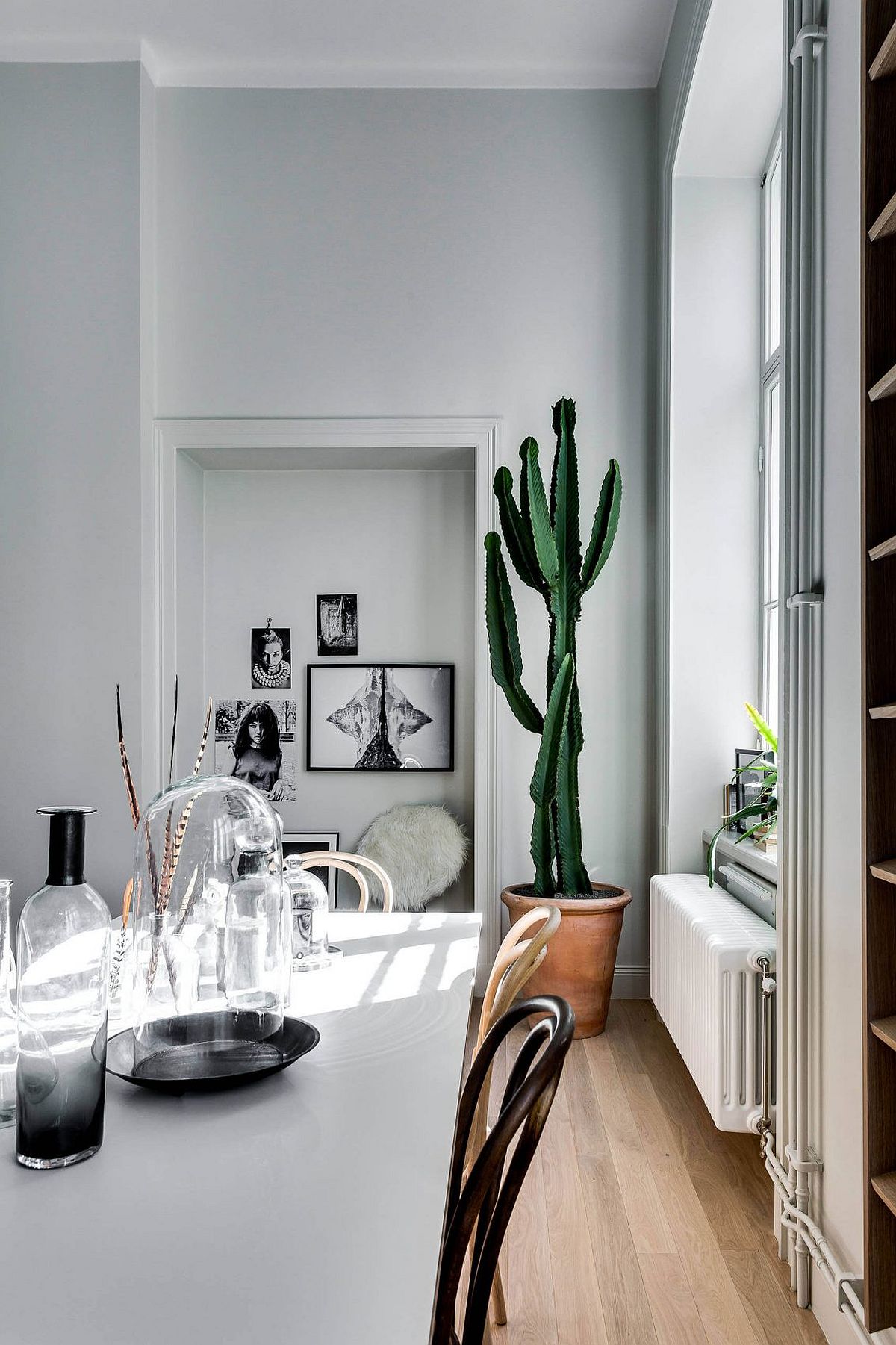 Indoor plant in the corner adds color to the Scandinavian dining space